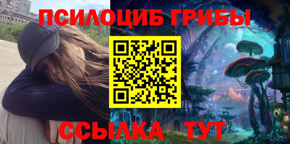 Северобайкальск  Псилоцибиновые грибы MAGIC MUSHROOMS  где найти наркотики  Вход с VPN 